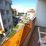 Le Primule
